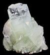 Zoned Apophyllite Crystal Cluster with Stilbite - India #44440-1